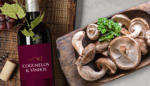 Cogumelos e vinhos - a harmonização perfeita!